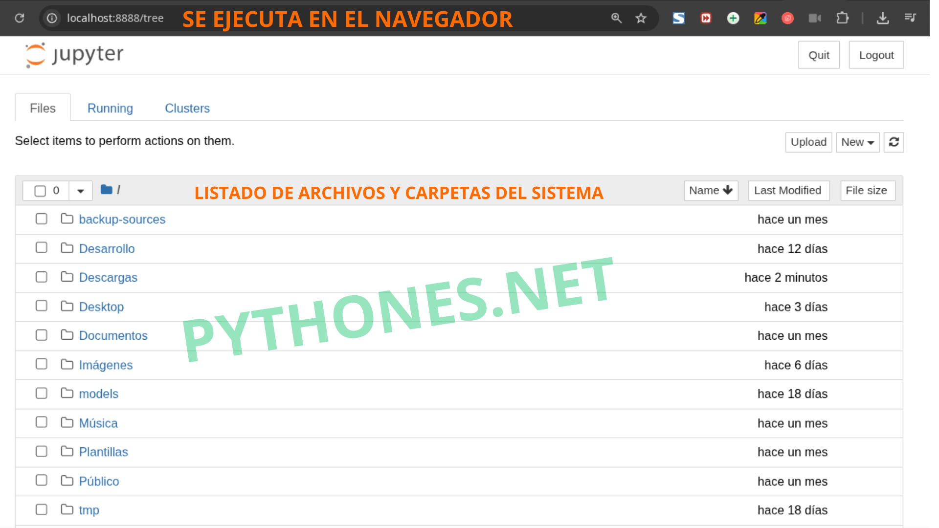 Jupyter Notebook se ejecuta en el navegador