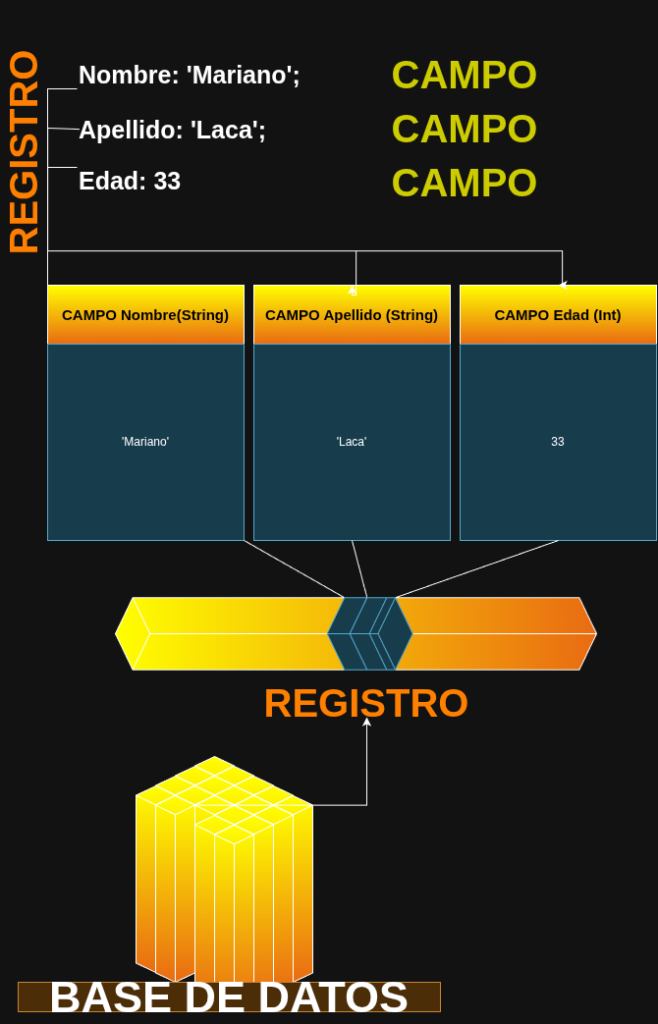 PYTHONES - Modelos de bases de datos - diagrama campo - registro - db