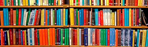 biblioteca - bases de datos